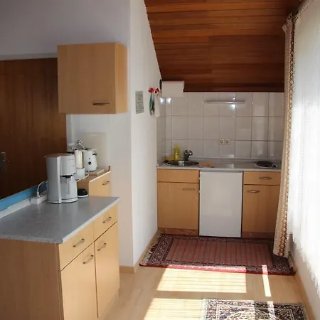 דירה Neueroffung - Modernes 39qm Nahe Legoland Ebersbach (Bavaria)